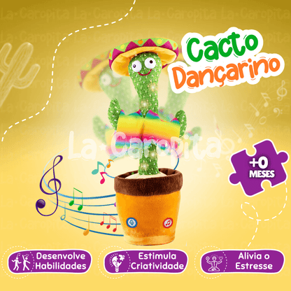 Cacto Dançarino