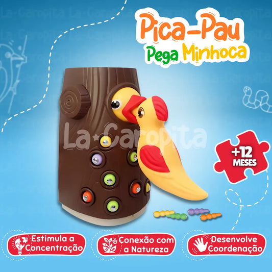 Pica-Pau Pega Minhoca