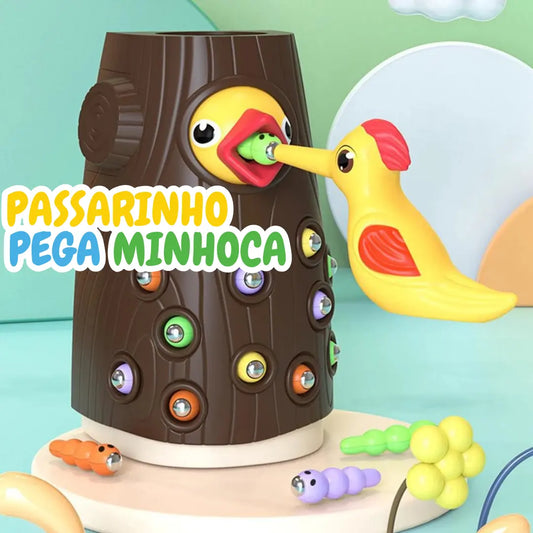 Passarinho Pega Minhoca